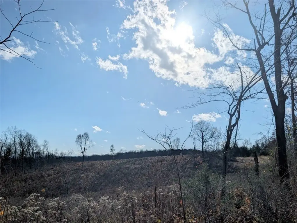 Nc 2900, Marble Falls, AR 72648 - Image #1