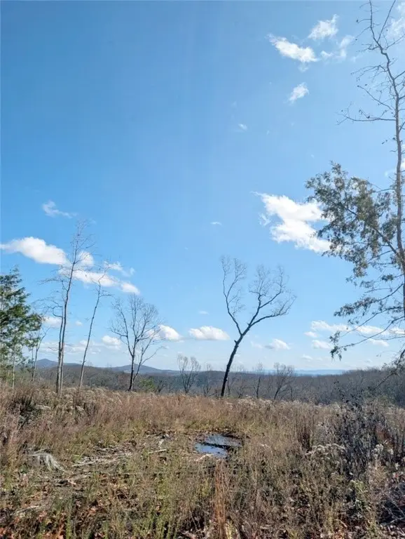 Nc 2900, Marble Falls, AR 72648 - Image #2