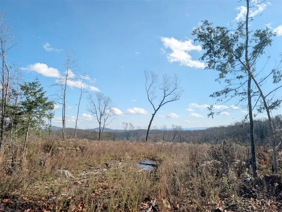 Nc 2900, Marble Falls, AR 72648 - Image #3