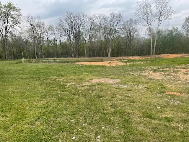 23044 Honey Creek Road, Sulphur Springs, AR 72768 - Image #2