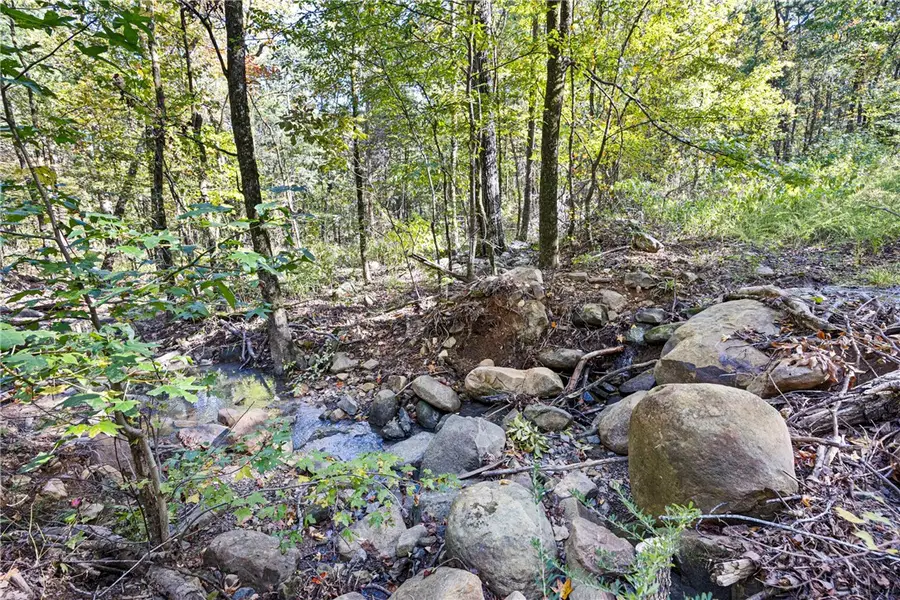 Ar 155, Dardanelle, AR 72834 - Image #3