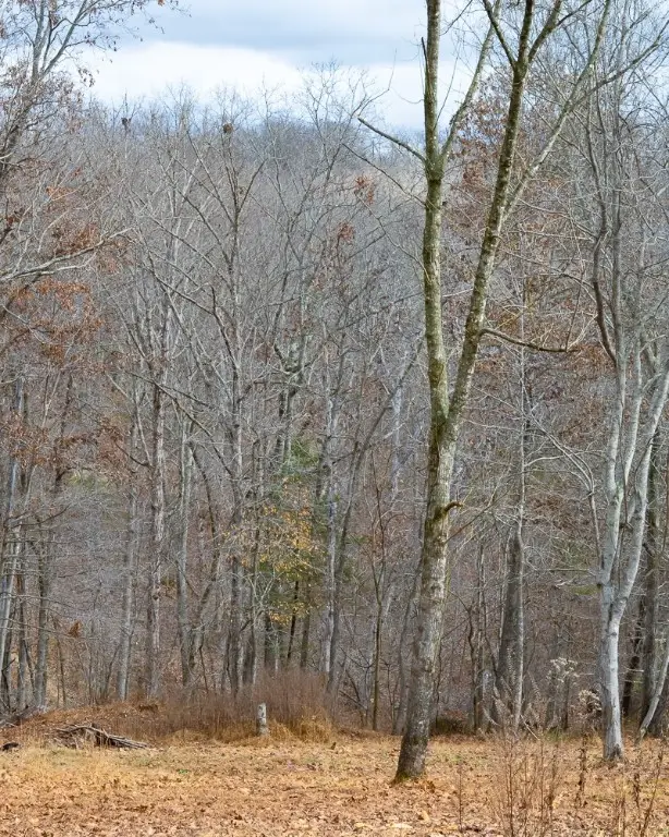 Lot 4 S Old Dutch, Rogers, AR 72756 - Image #3