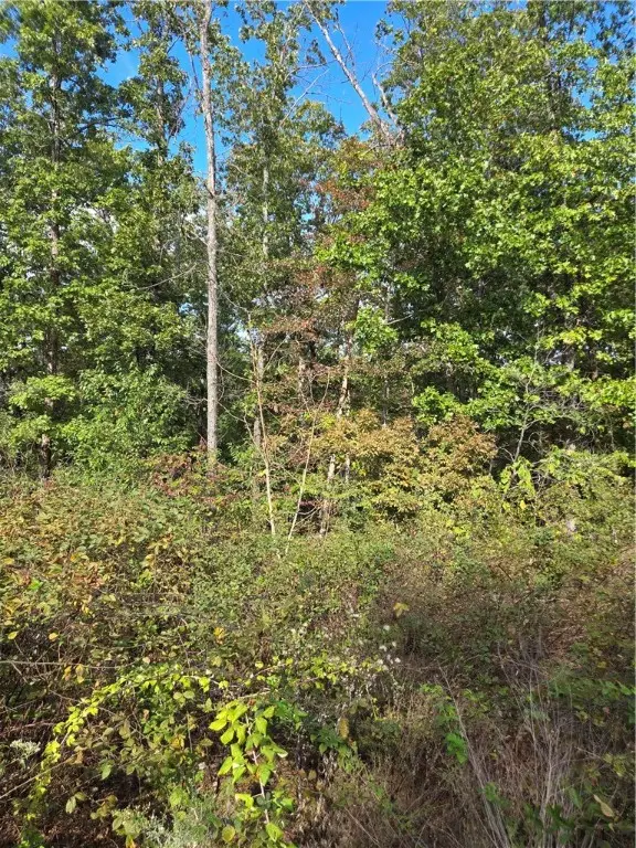 Lot 40 Glyndebourne Drive, Bella Vista, AR 72714