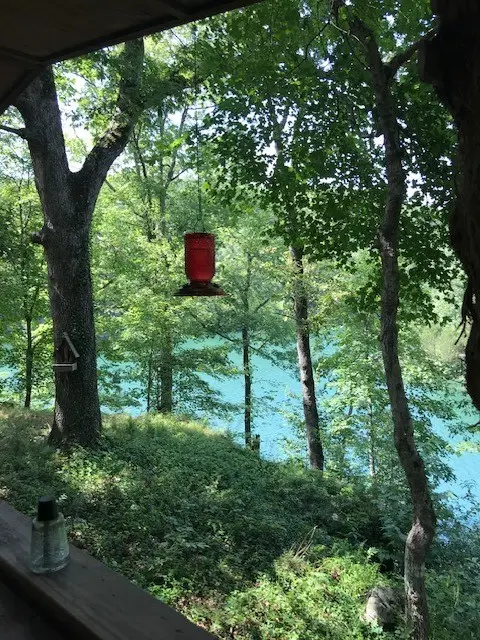 3109 County Road 148, Eureka Springs, AR 72632 - Image #2