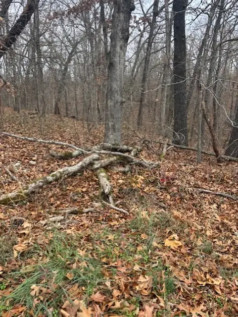 Exmoor Lane, Bella Vista, AR 72715