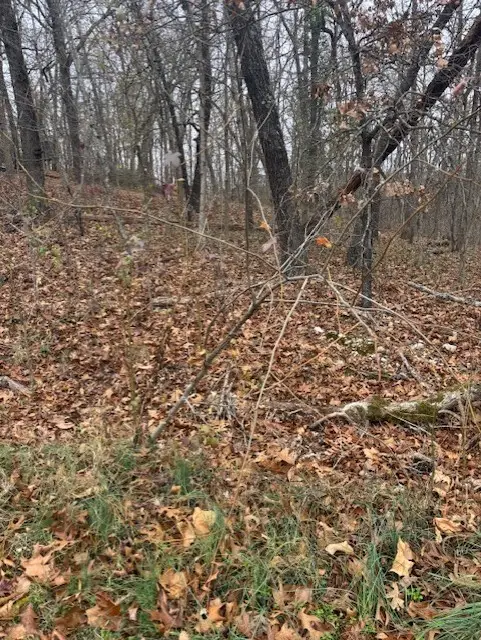 Exmoor Lane, Bella Vista, AR 72715 - Image #2