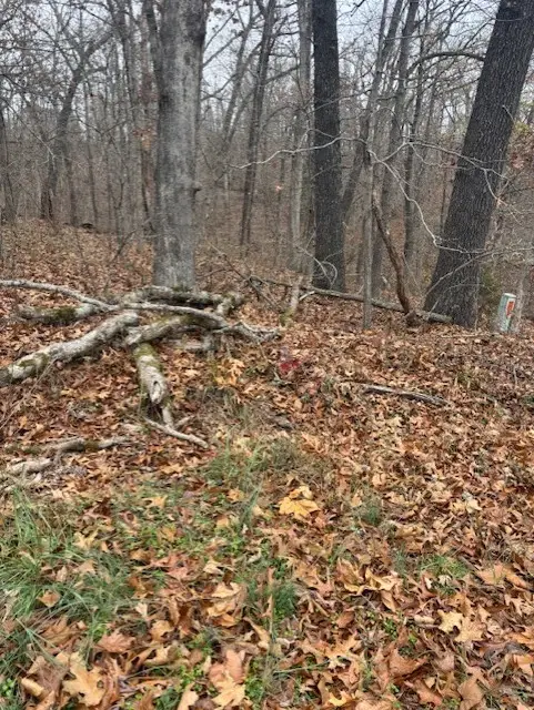 Exmoor Lane, Bella Vista, AR 72715 - Image #3