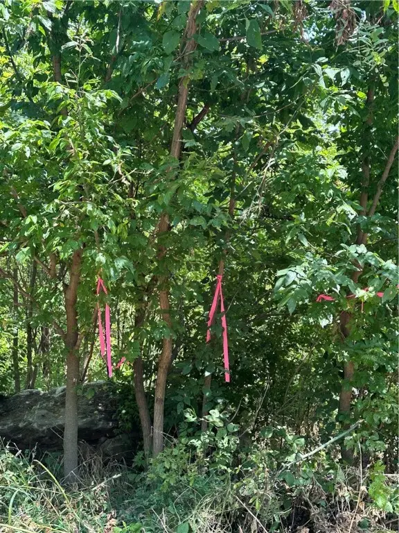 0 War Eagle Black Top, Springdale, AR 72764 - Image #2