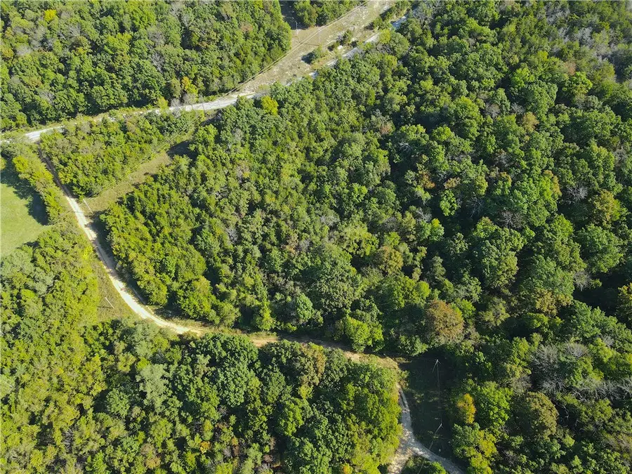 Cisco Road, Berryville, AR 72616 - Image #2