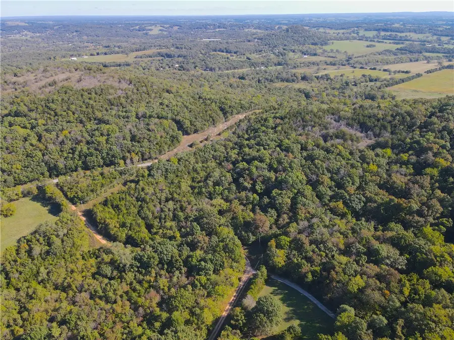 Cisco Road, Berryville, AR 72616 - Image #3