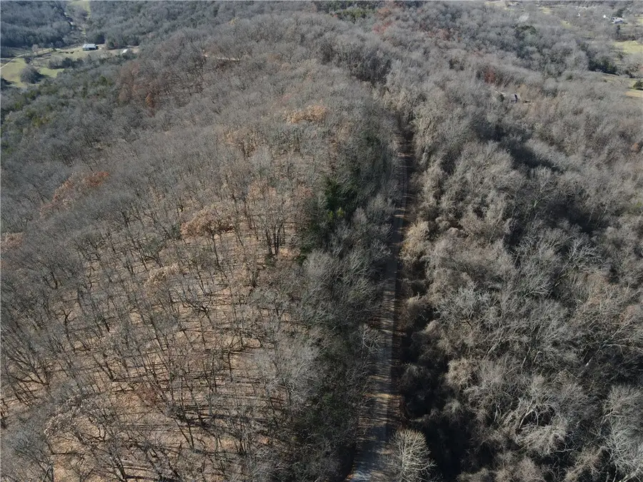 Cisco Road, Berryville, AR 72616 - Image #2