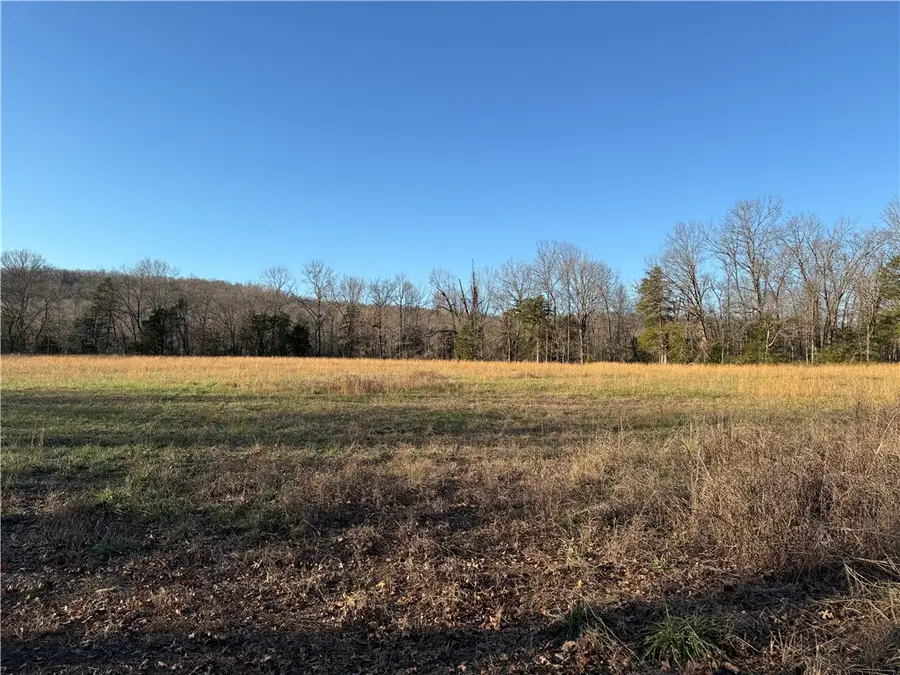 708 E Bowen Boulevard, Fayetteville, AR 72703 - Image #3