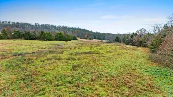 TBD Mount T Bo Lane, Elkins, AR 72727