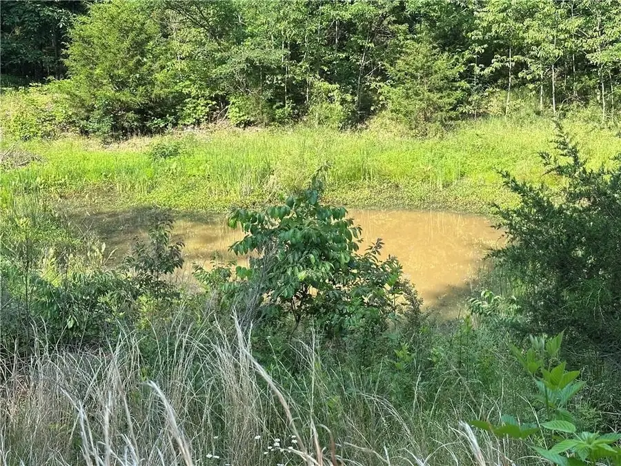 Tract-B Madison Cr 6021, Elkins, AR 72727 - Image #2