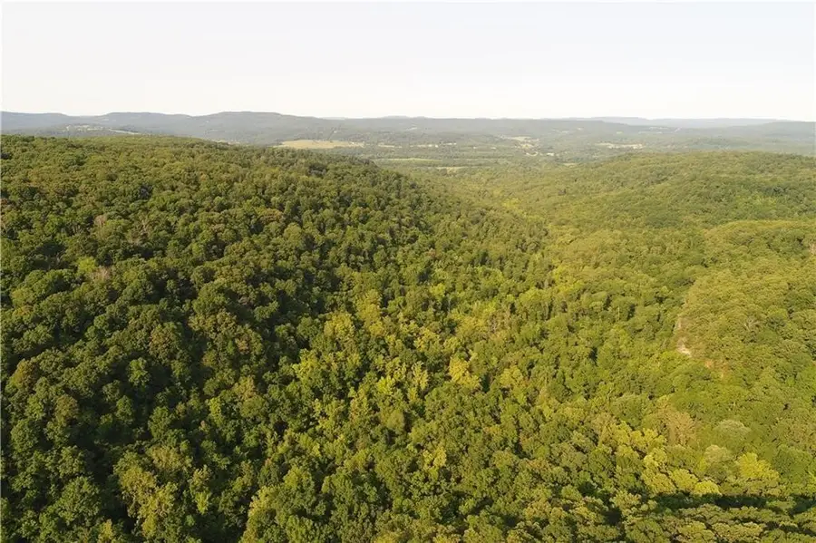 Tract A Madison Cr 6021, Elkins, AR 72727 - Image #2