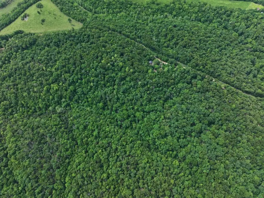 1619A Stone Road, Noel, MO 64854 - Image #2