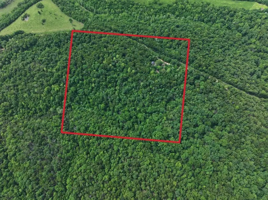 8 Acres Stone Road, Noel, MO 64854 - Image #3