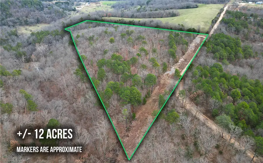 293 County Road 315, Eureka Springs, AR 72632 - Image #2