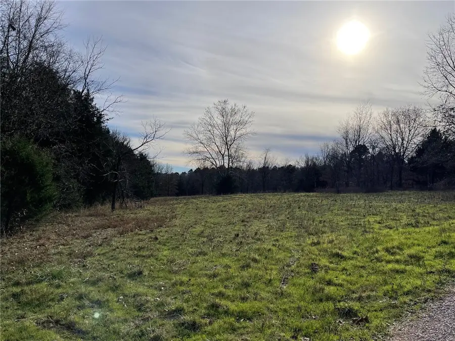 Falcon Lane, Berryville, AR 72616 - Image #2