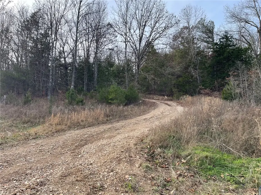 Falcon Lane, Berryville, AR 72616 - Image #3