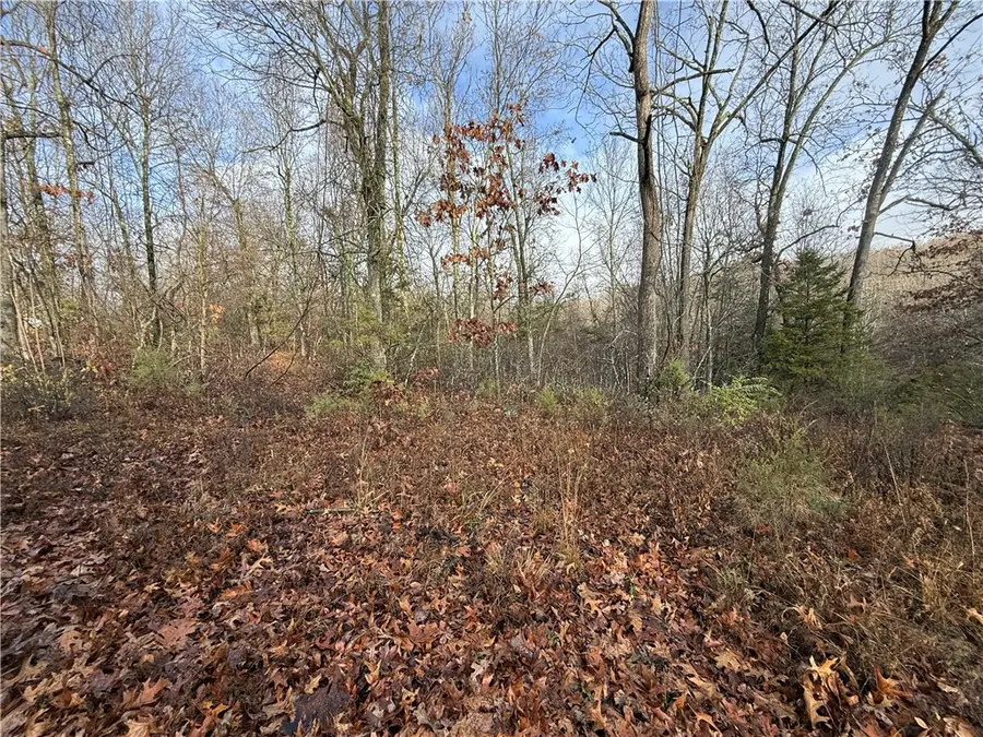 Dogwood Drive, Omaha, AR 72662 - Image #2