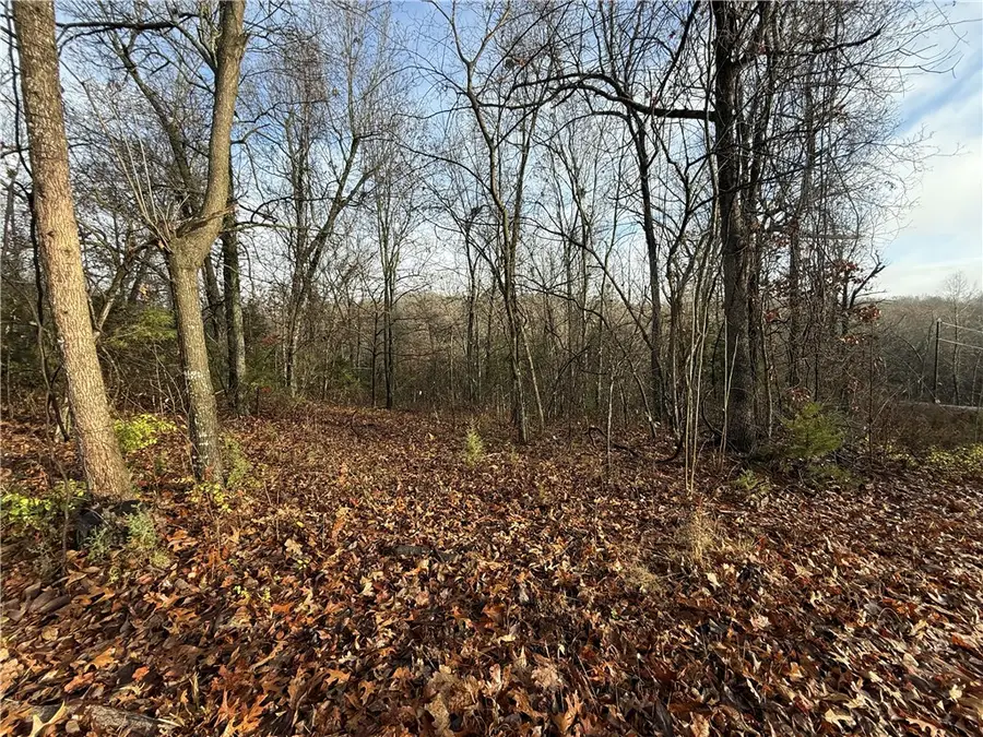 Dogwood Drive, Omaha, AR 72662 - Image #3