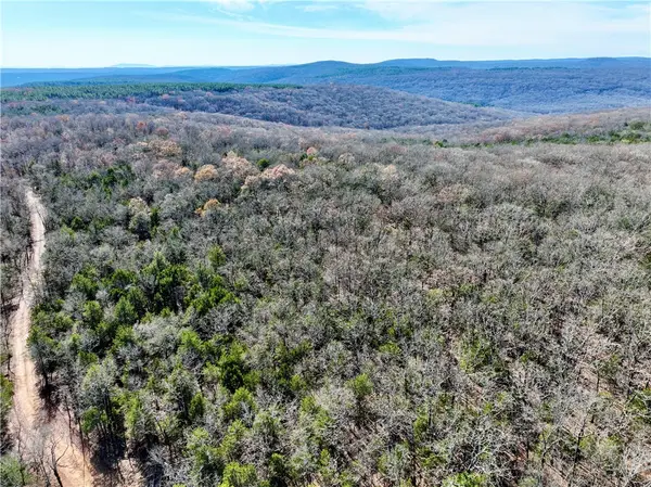 TBD Liberty Hill Road, Natural Dam, AR 72948