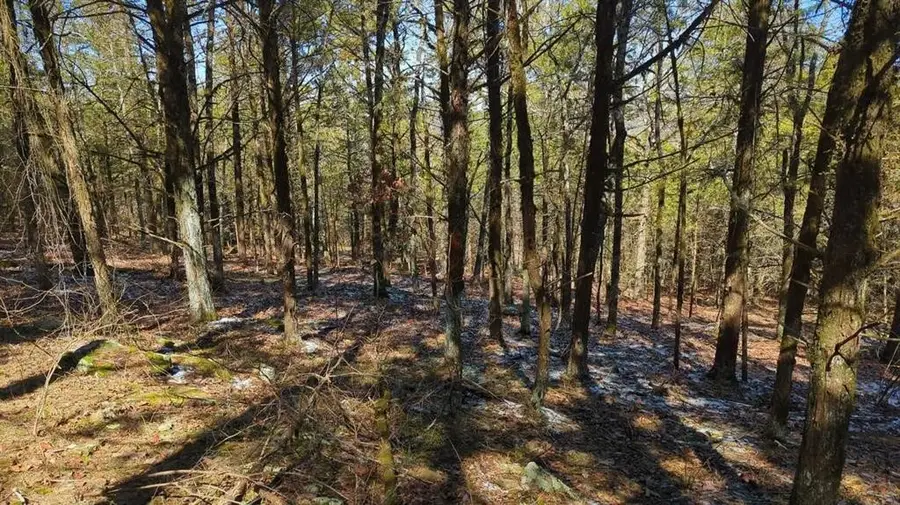 000 Ridge Drive, Dardanelle, AR 72834 - Image #2