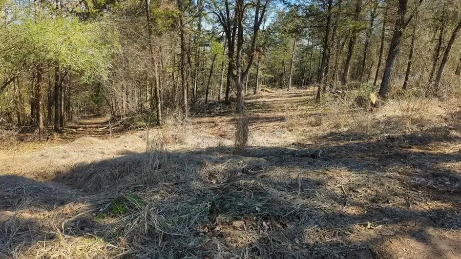 000 Ridge Drive, Dardanelle, AR 72834 - Image #3