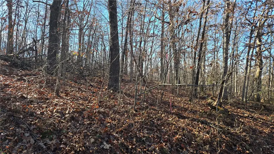 Lot 8 Embleton Drive, Bella Vista, AR 72714 - Image #2