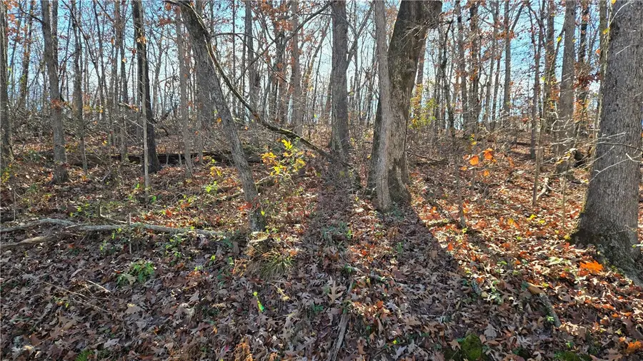 Lot 8 Embleton Drive, Bella Vista, AR 72714 - Image #3