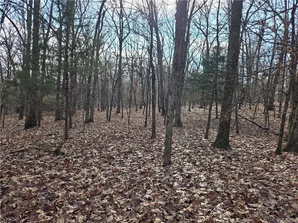 TBD Blue Mountain Road, Prairie Grove, AR 72753