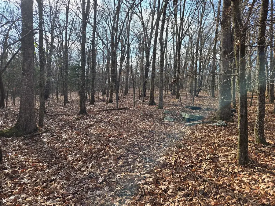 TBD Blue Mountain Road, Prairie Grove, AR 72753 - Image #3