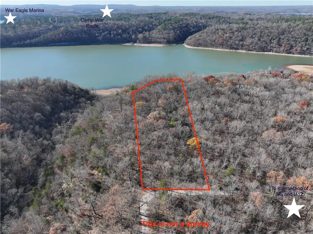 TBD Hickory Springs Road, Hindsville, AR 72738 - Image #1