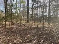 TBD Hickory Springs Road, Hindsville, AR 72738 - Image #2