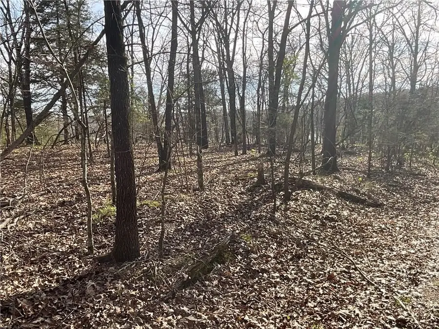 TBD Hickory Springs Road, Hindsville, AR 72738 - Image #3