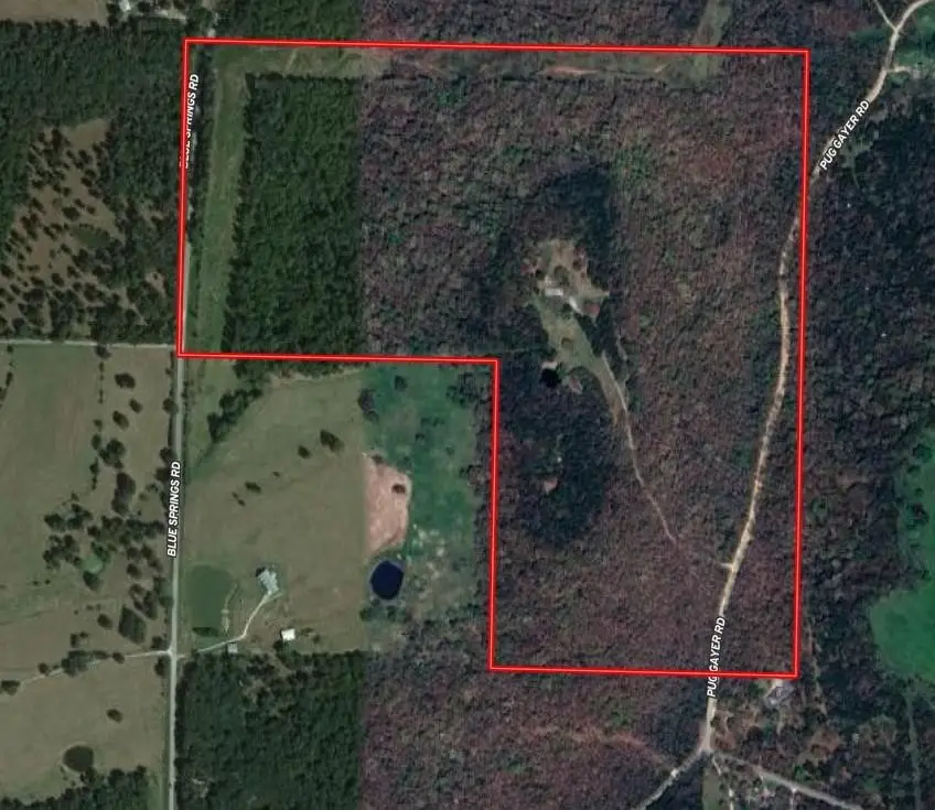 TBD Blue Springs Road, Goshen, AR 72735 - Image #1