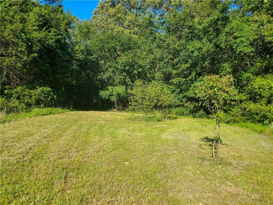 TBD Blue Springs Road, Goshen, AR 72735 - Image #3