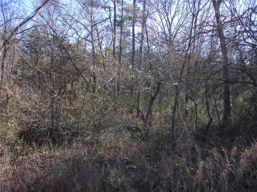 TBD Hwy 71 B, Winslow, AR 72959 - Image #3