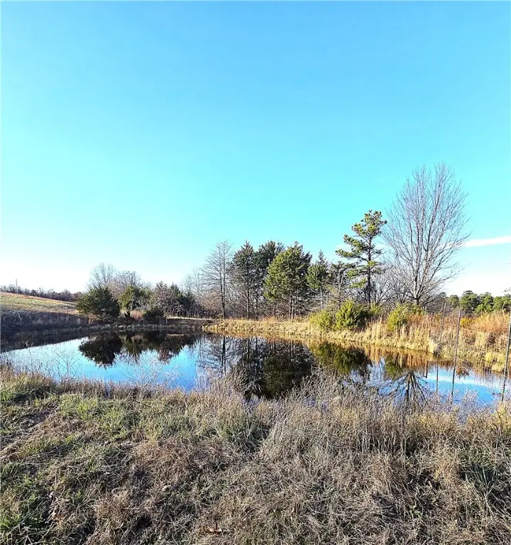 Driftwood Drive, Saint Joe, AR 72675 - Image #2