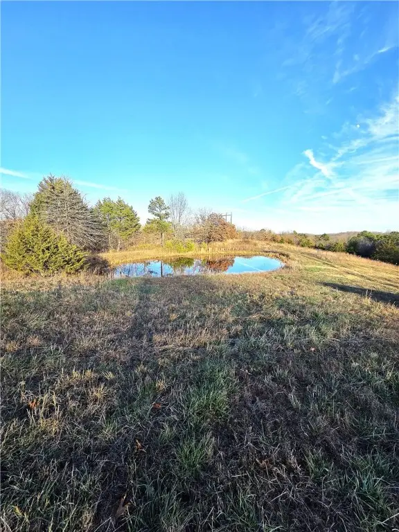 Driftwood Drive, Saint Joe, AR 72675 - Image #3