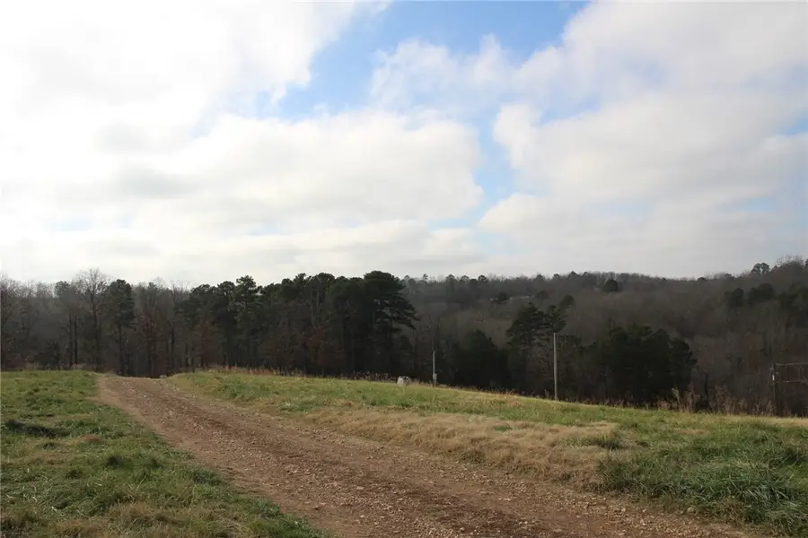 413 Impulse Lane, Yellville, AR 72687 - Image #3