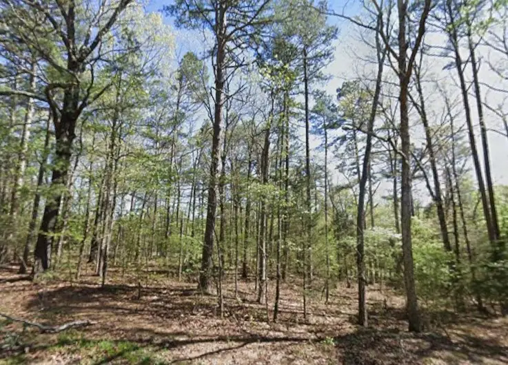 Castle Ridge Heights, Fairfield Bay, AR 72088 - Image #3