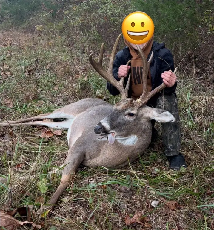 000 TBD Cr 947, Berryville, AR 72616 - Image #2