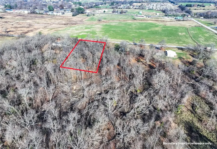 Adams Street, Lincoln, AR 72744 - Image #3