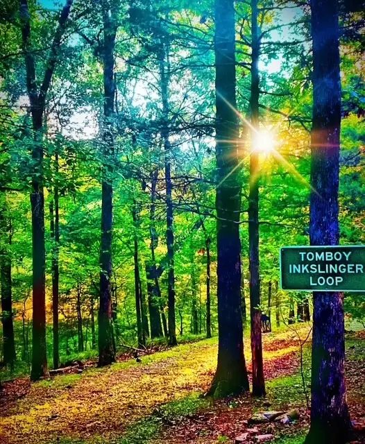 342 Lightning Ridge Road, Eureka Springs, AR 72632 - Image #2