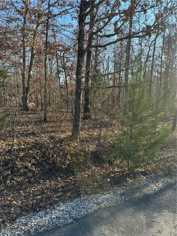 Lot 17 Peebles Lane, Bella Vista, AR 72715 - Image #2