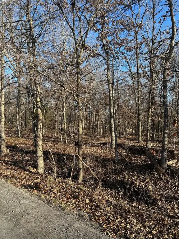 Lot 17 Peebles Lane, Bella Vista, AR 72715 - Image #3