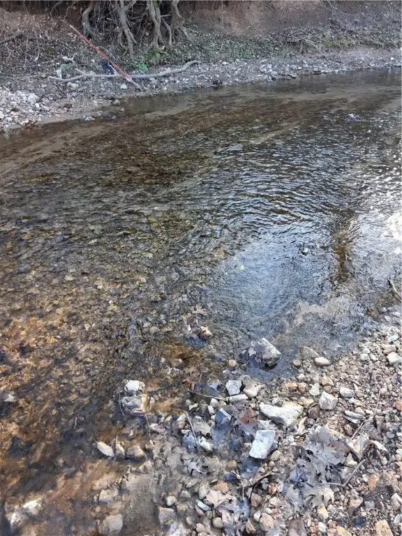 Tract 3 Puppy Creek Road, Lowell, AR 72745 - Image #2