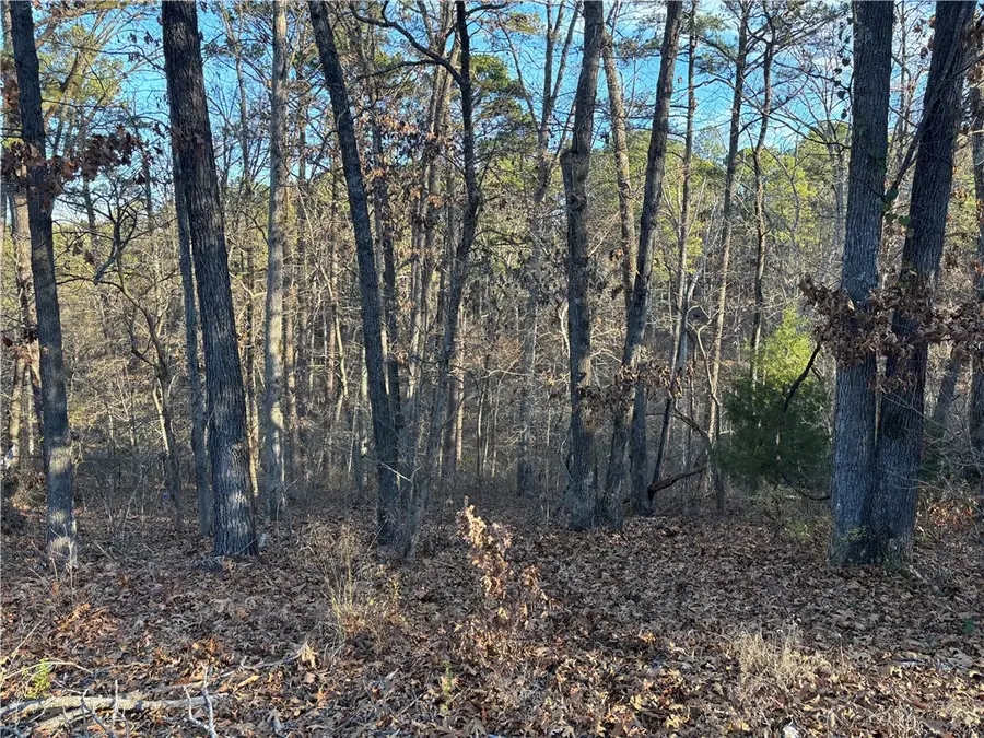 Lot 23 Woodstock Lane, Bella Vista, AR 72714 - Image #2